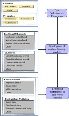 Machine learning in the development of targeting microRNAs in human disease